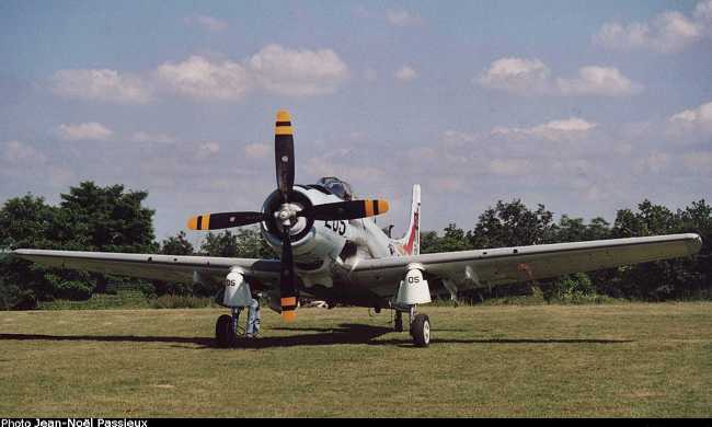 Vue d'un Skyraider A-1D (photo : JN Passieux, meeting de la Ferté-Alais 2003)