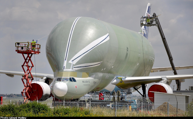 Vue d'un A330-743L Beluga XL (photo : Gérard Meilley, Toulouse-Blagnac, mai 2018)