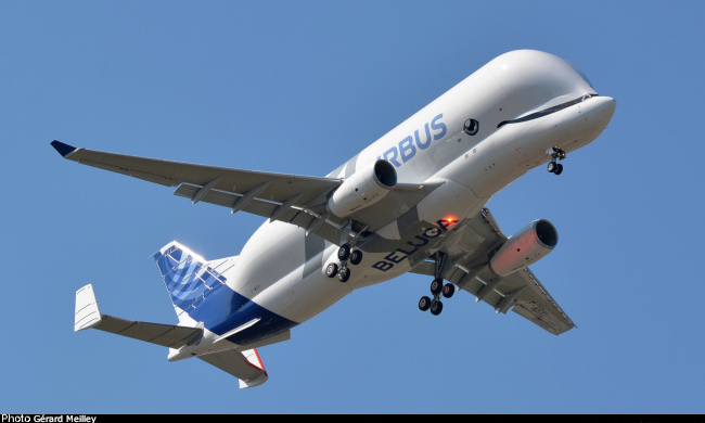 Vue d'un A330-743L Beluga XL (photo : Gérard Meilley, Toulouse-Blagnac, juillet 2018)