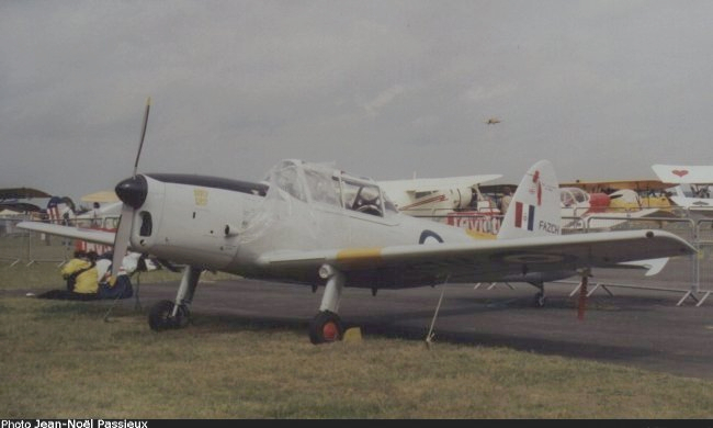 Vue du Chipmunk (photo : JN Passieux, meeting de la Ferté-Alais 2001)