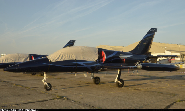 Vue d'un L-39C de l'équipe Fly and Fun (photo : JN Passieux, meeting de Melun-Villaroche 2023)