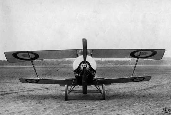 Vue d'un Nieuport 11 (photo fournie par Thierry Roure)