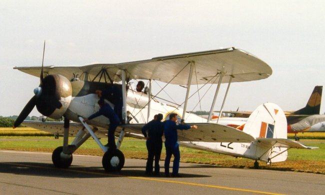 Vue d'un Swordfish (photo : Freddy Lauwers)